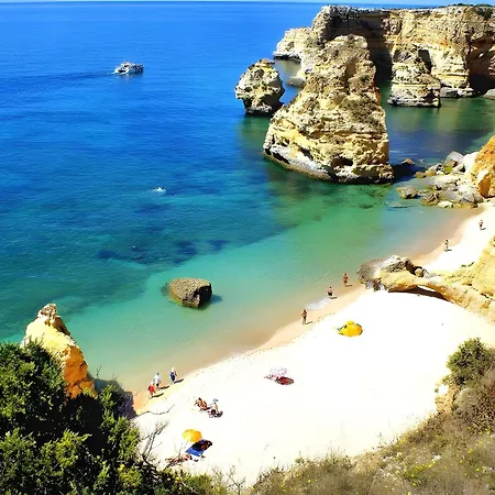 Charming Ocean View Apartamento